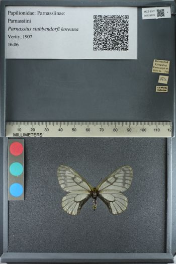 Media type: image;   Entomology 179970
